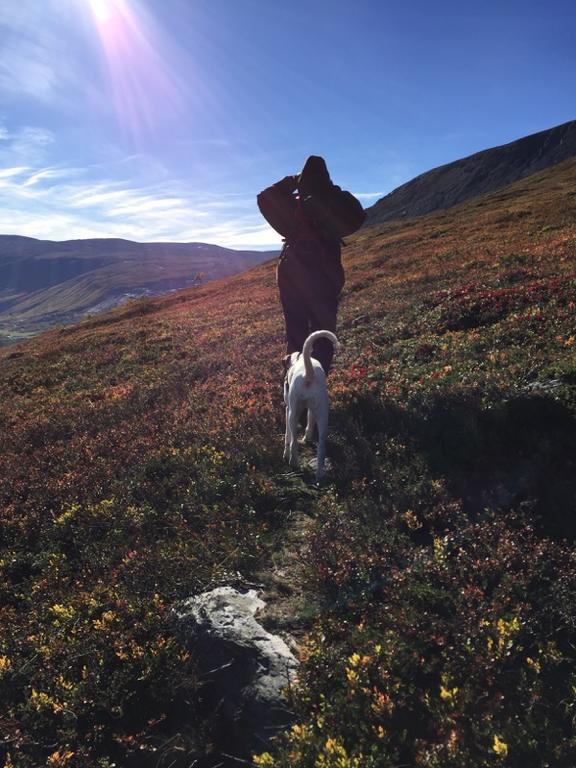 Magalaupe Camping Oppdal Exteriör bild